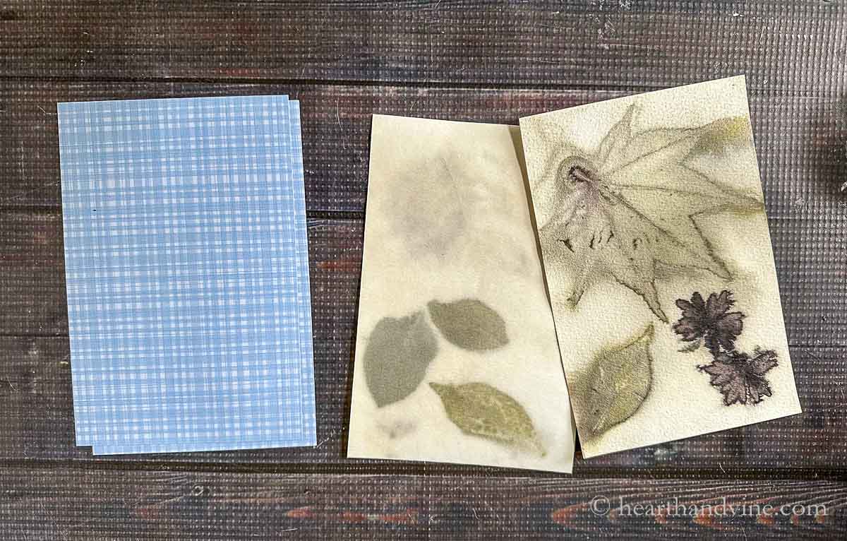 Two peices of blue graphic paper next to two botanical cover sheets.