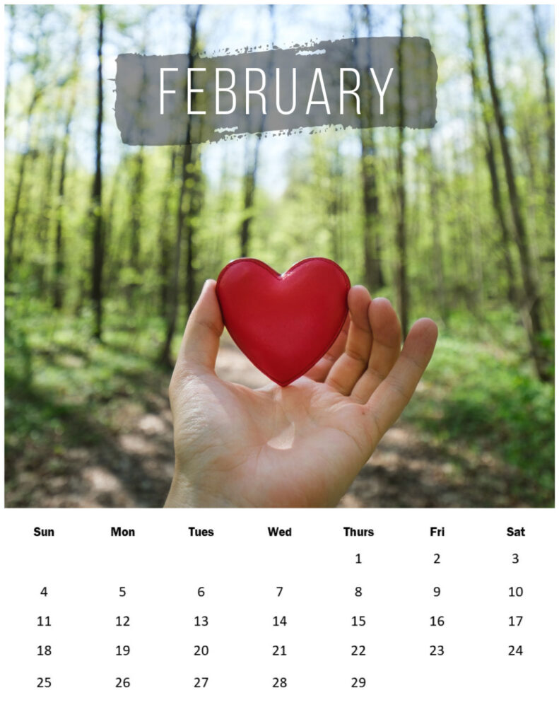 Hand holding a heart in the woods with a 2024 February calendar below.