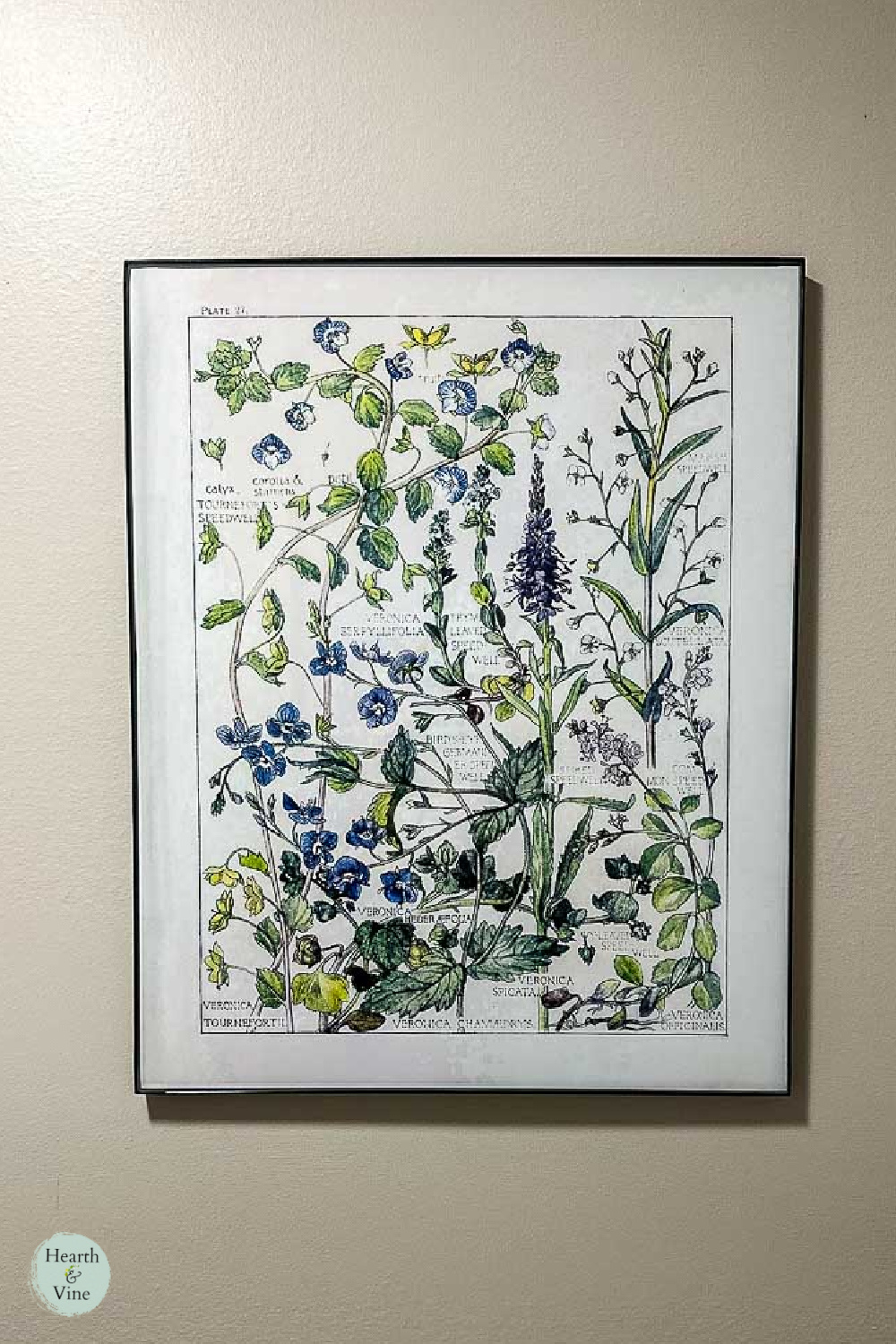 DIY Botanical Wall Art | Hearth and Vine