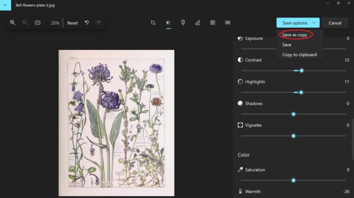 DIY Botanical Wall Art | Hearth and Vine