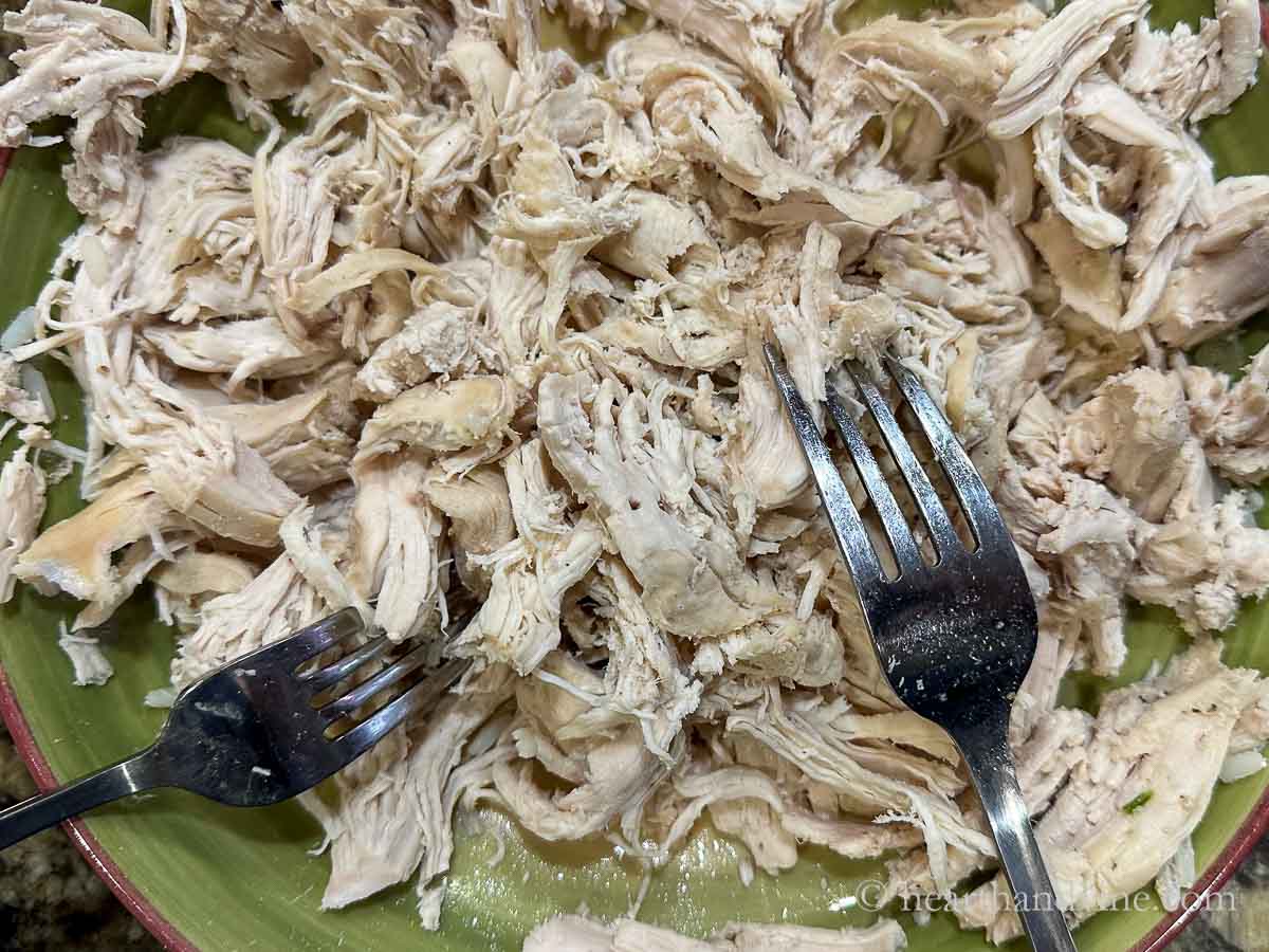 Two forks shredding cooked chicken breasts.