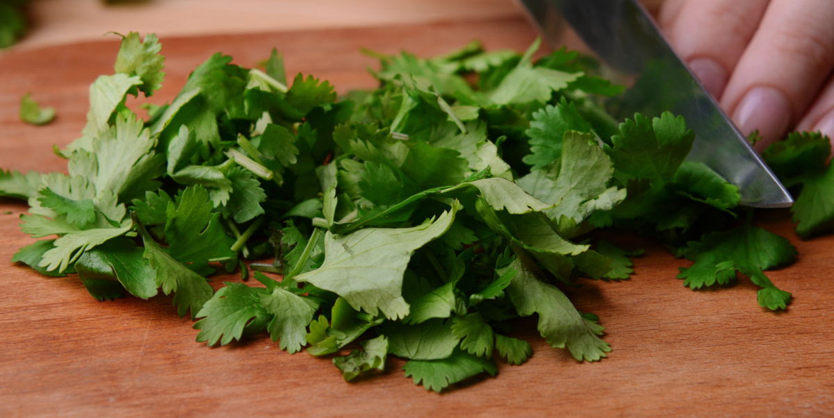 Chopping cilantro leaves on a wooden chopping block.