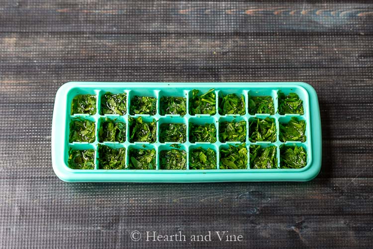 Cilantro leaves and oil in an ice cube tray.
