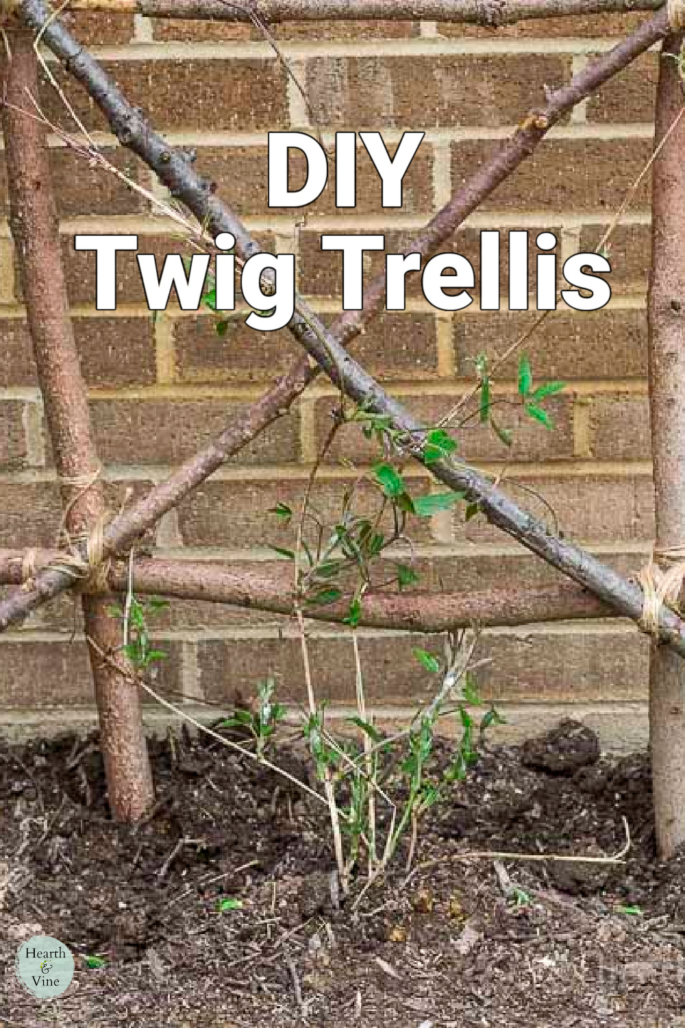 Trellis made from twigs, branches and twine with a clematis plant growing up it.