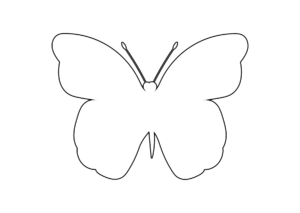 An outline image of a butterfly.