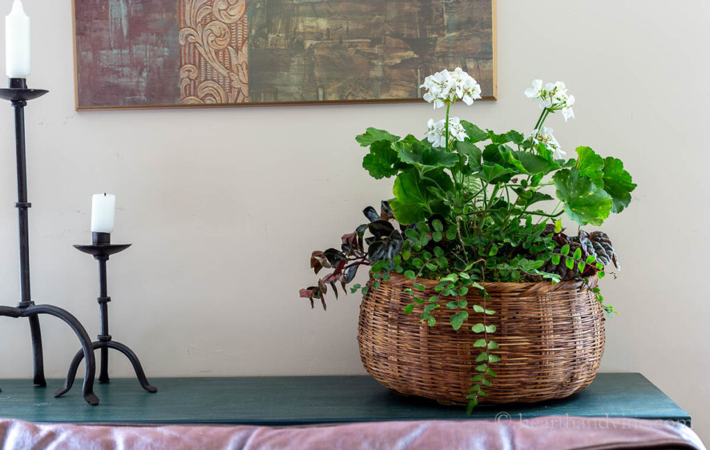 Create a Living Centerpiece - Easily Changes Throughout the Year
