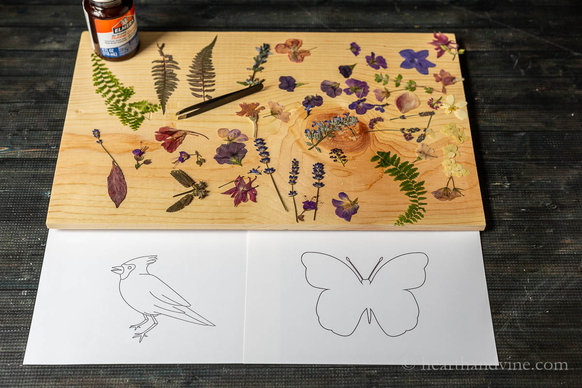 A board filled with pressed flowers next to outlines of a bird and butterfly on white paper.