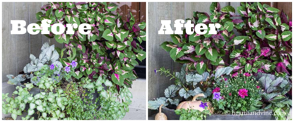 Before and after pic of end of summer planter next to fall update with faux pumpkin, kale and mums planted.