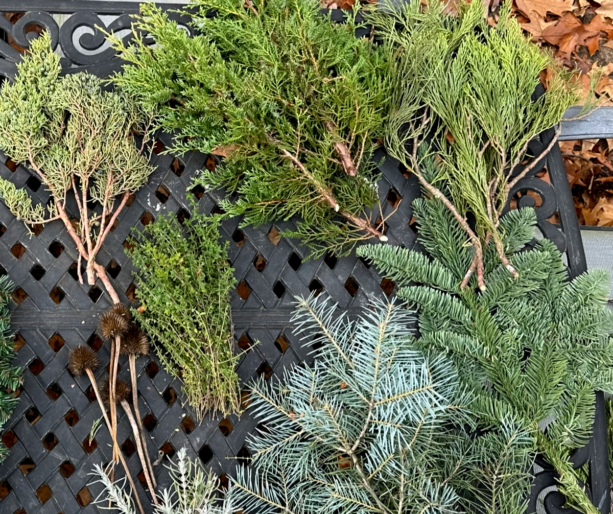 Evergreen cuttings including juniper, pines, and cedar.