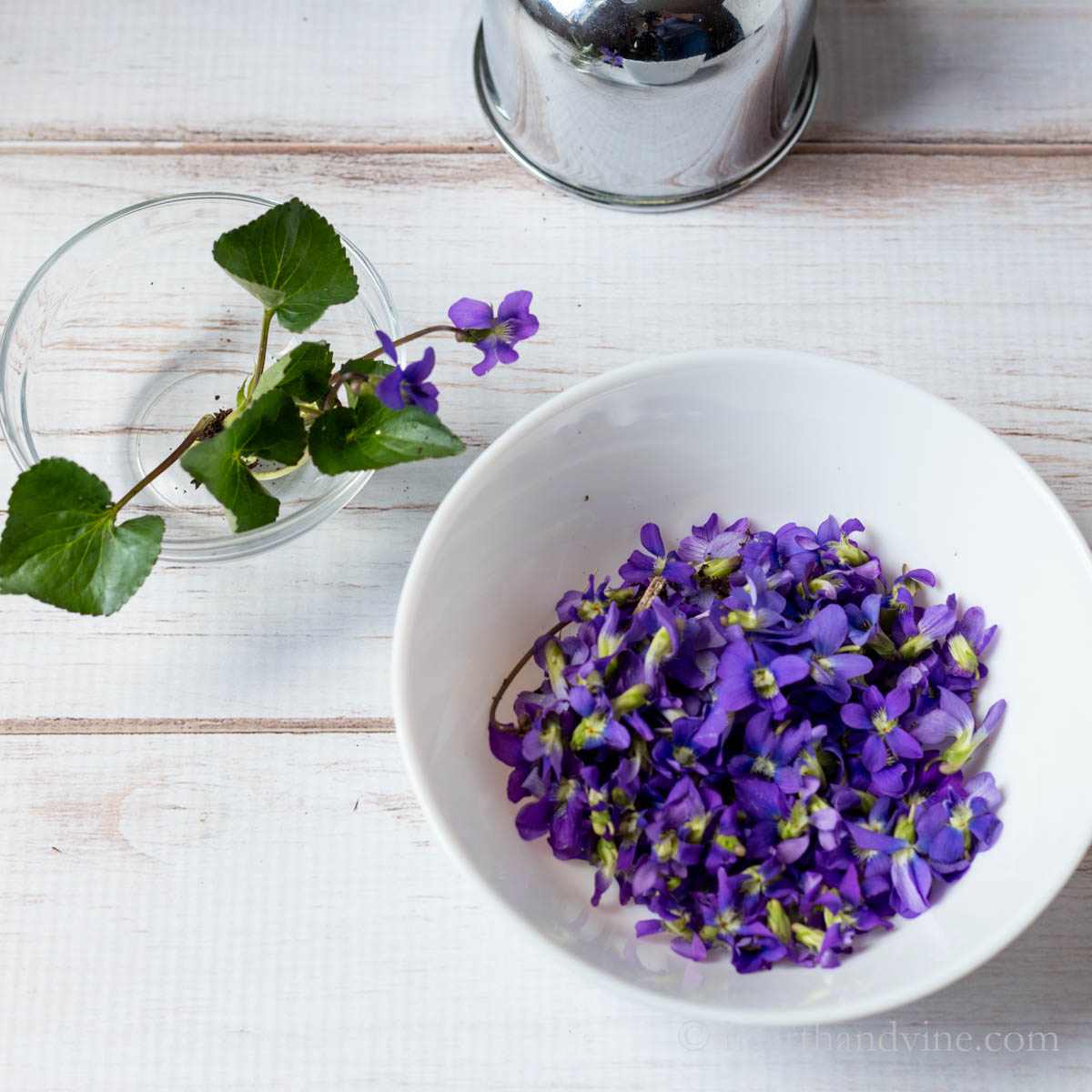 Bowl of wild violet flowers next to a glass of the entire violet flower.