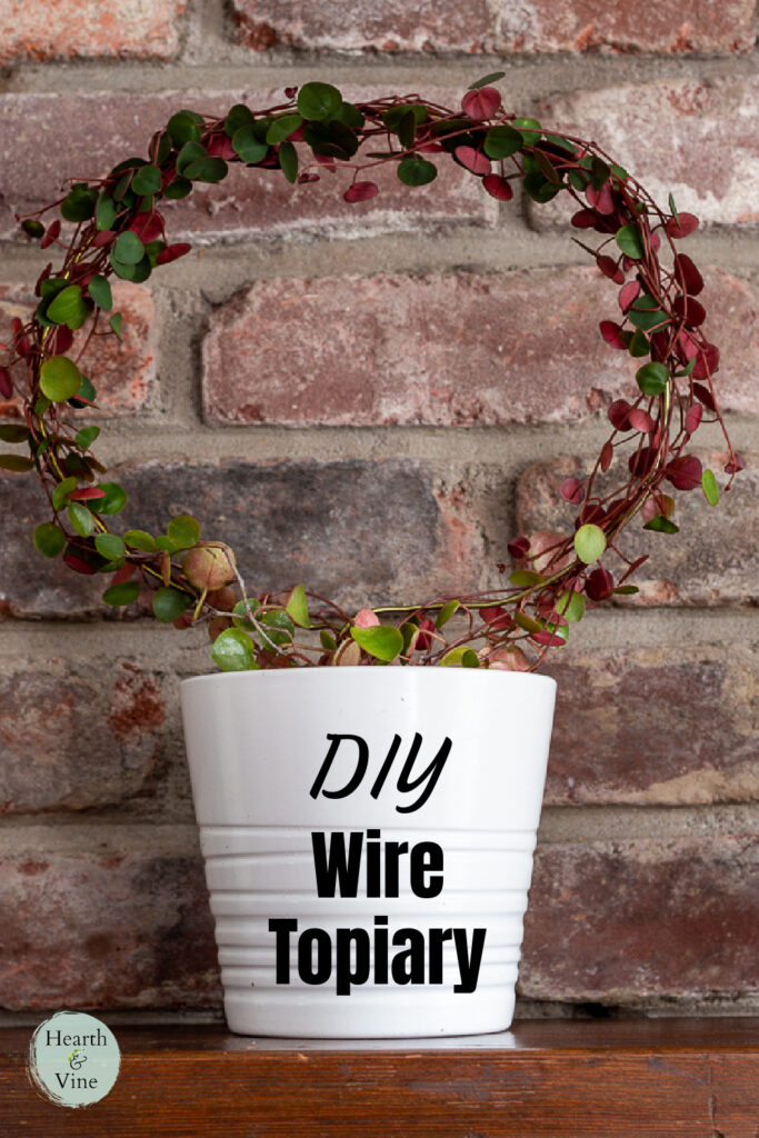 Wire Container Topiary How to Make a Topiary with Wire for Your Vining Houseplants