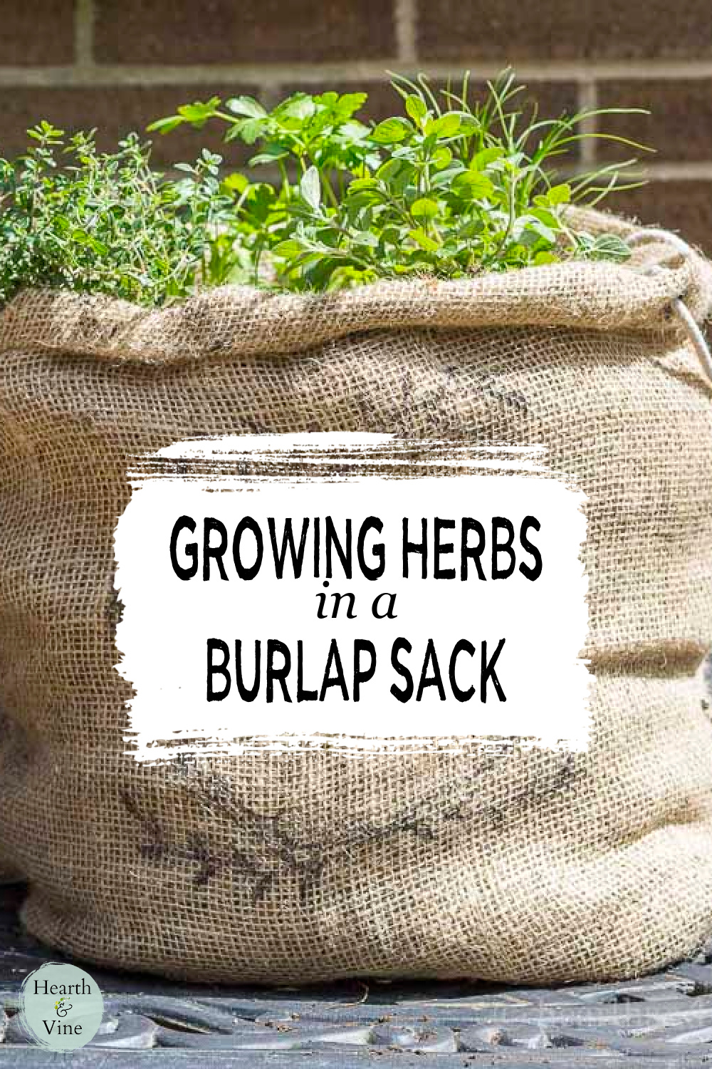 Herbs planted in a large burlap sack.