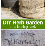 Herbal planter in a burlap sack over the view of a decorative label on the bag.