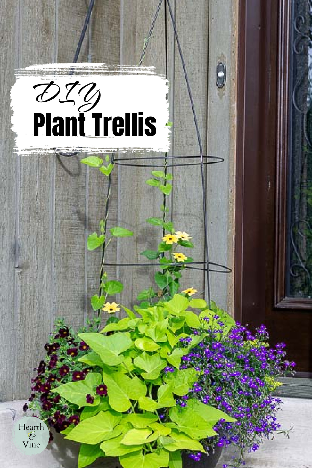 Large flower pot with round trellis.
