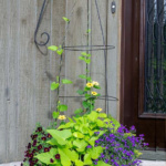 Large flower planter with a diy trellis for vining plants.
