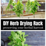 A DIY herbal drying rack hanging with fresh bundles of herbs in a kitchen over a bundle of fresh mint and scissors.