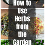 Collage of herbs and herbal products including chives, chive butter, herbal bath salts, potpourri and herbal facial steam.