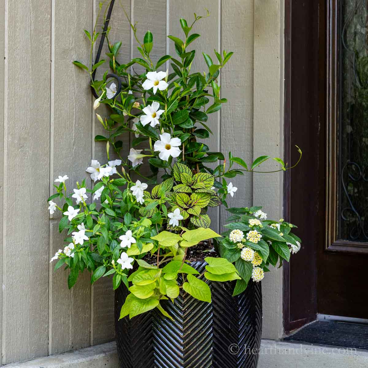 Flower planter with white flowers and shades of green foliage.