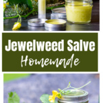 How To Make Jewelweed Salve How To Make Jewelweed Salve