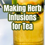 Large pitcher of mint iced tea.