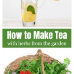 Mint iced tea pouring from a pitcher to a glass over a basket of fresh cut herbs.