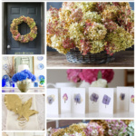 Collage of dried hydrangea flowers including wreaths and bouquets.