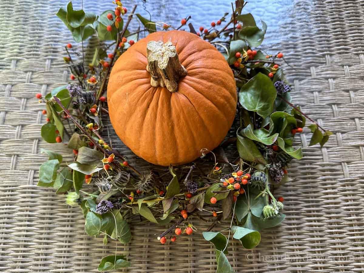 Foraged fall arrangment with a pumpkin in the center one week later.