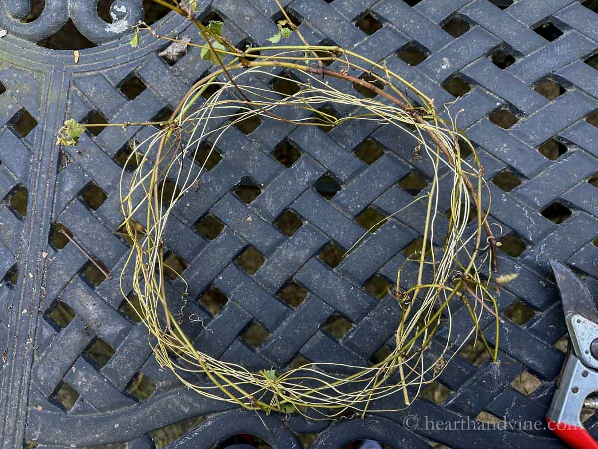 Grapevines wrapped around gold wires.