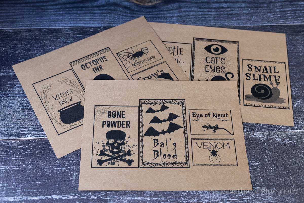Different Halloween potion bottle labels.