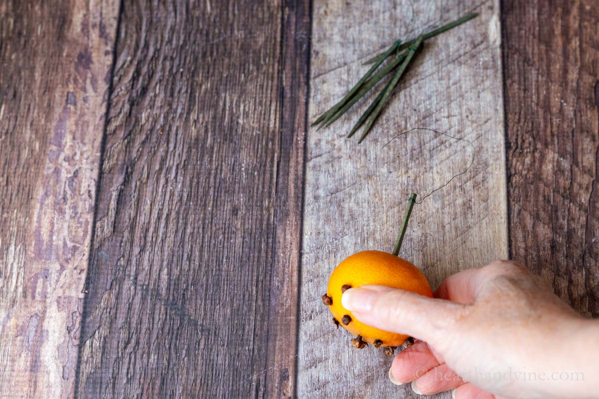 Inserting a floral pick with wire into a mandarin orange pomander.