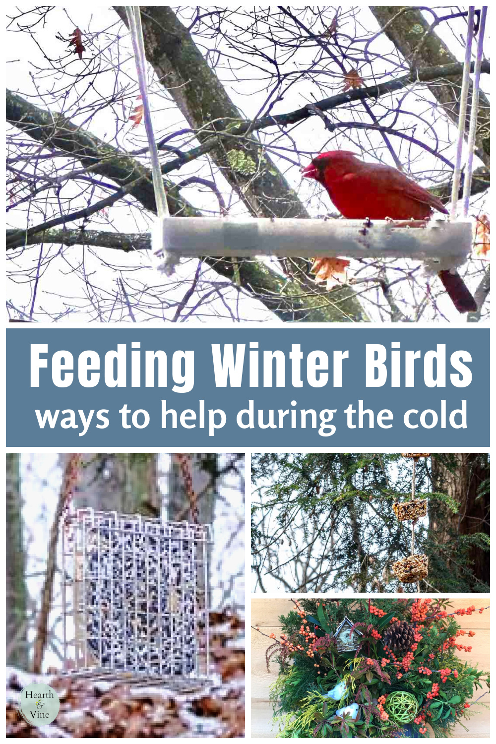 Feeding Birds in Winter - Tips and Ideas