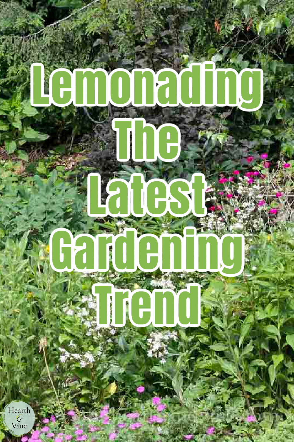 Flower garden in bloom with pink geraniums and penstemon flowers.