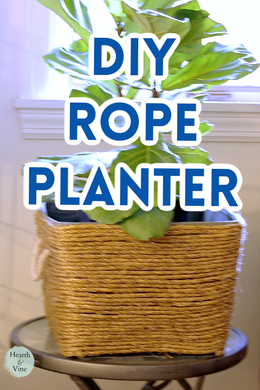 Fiddle leaf fig tree set in a sisal rope planter.