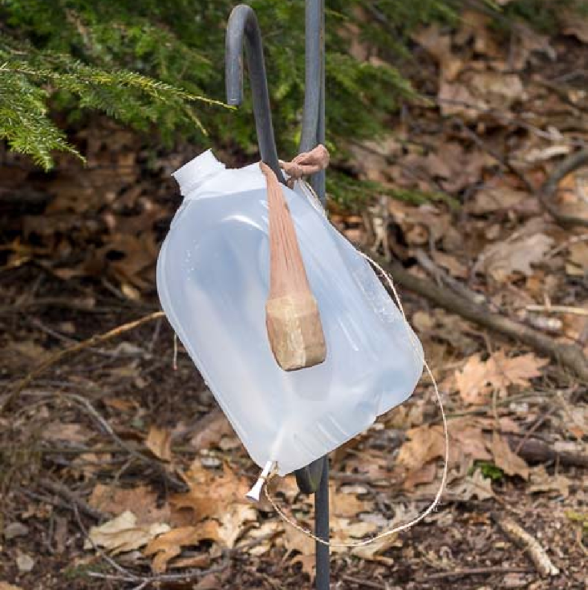 A jug of water hanging from a shepherd's hook and a bar of soap also hanging from inside a leg of nylon pantyhose.