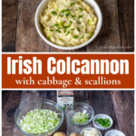 Bowl of Colcannon over the ingredients including potatoes, green onions, cabbage butter and cream.