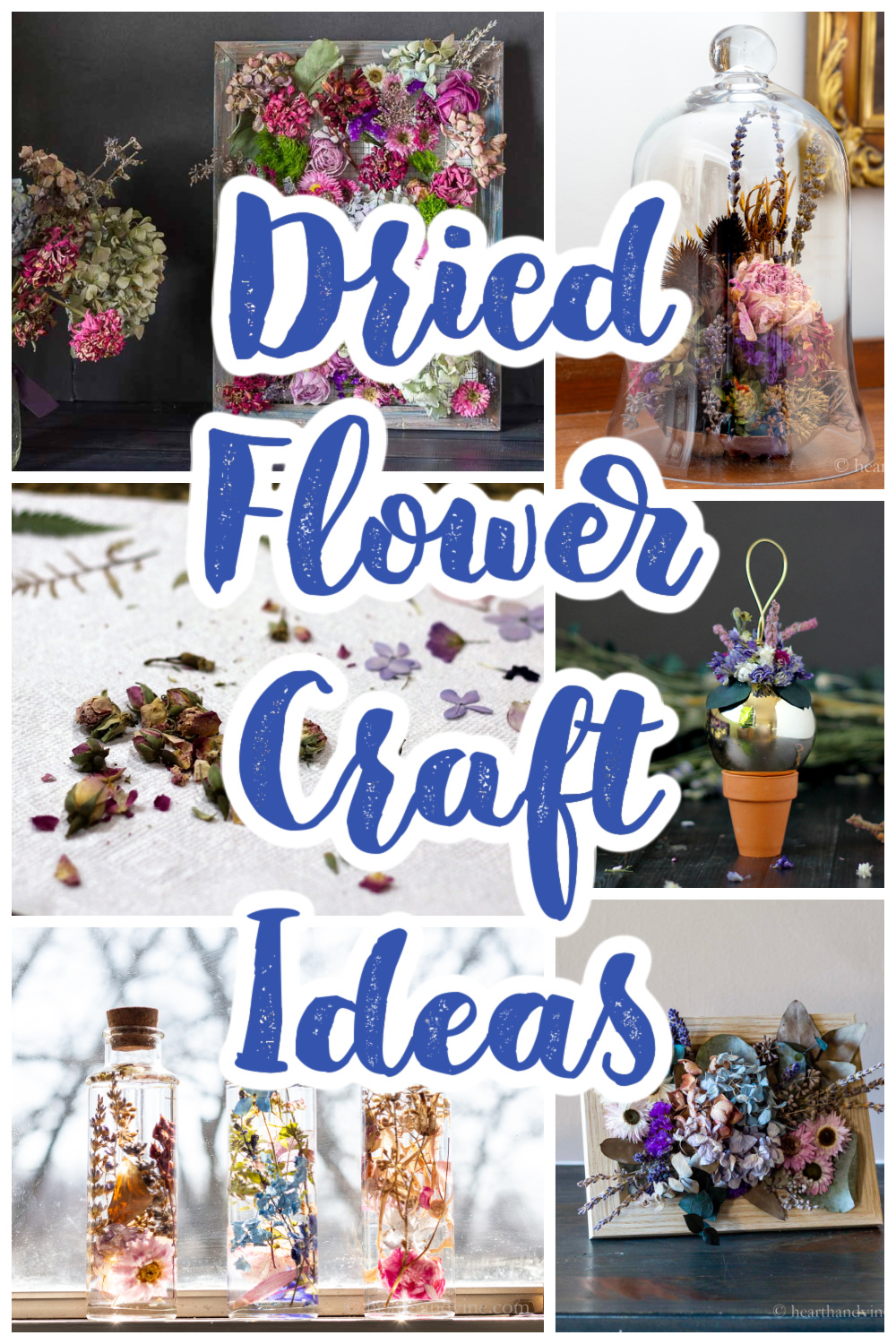 Dried Flower Crafts for Home Decor and Gift Giving