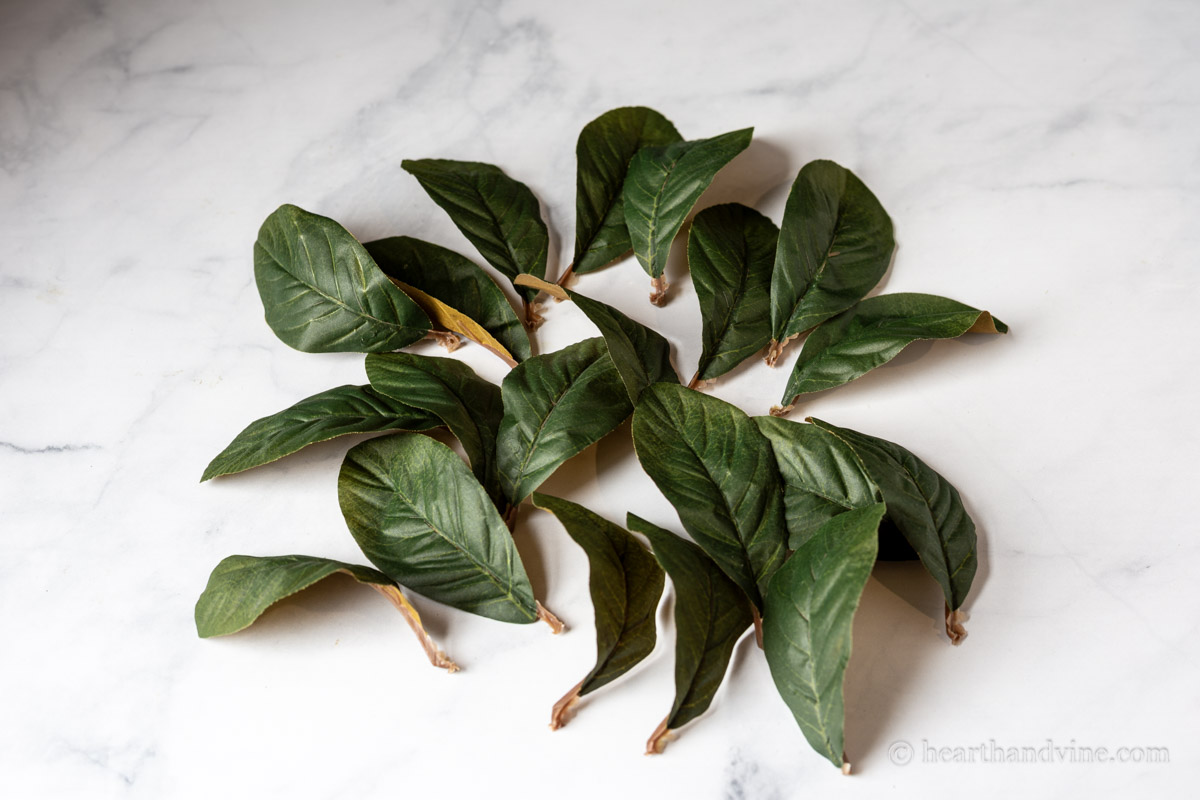 A group of artificial magnolia leaves.