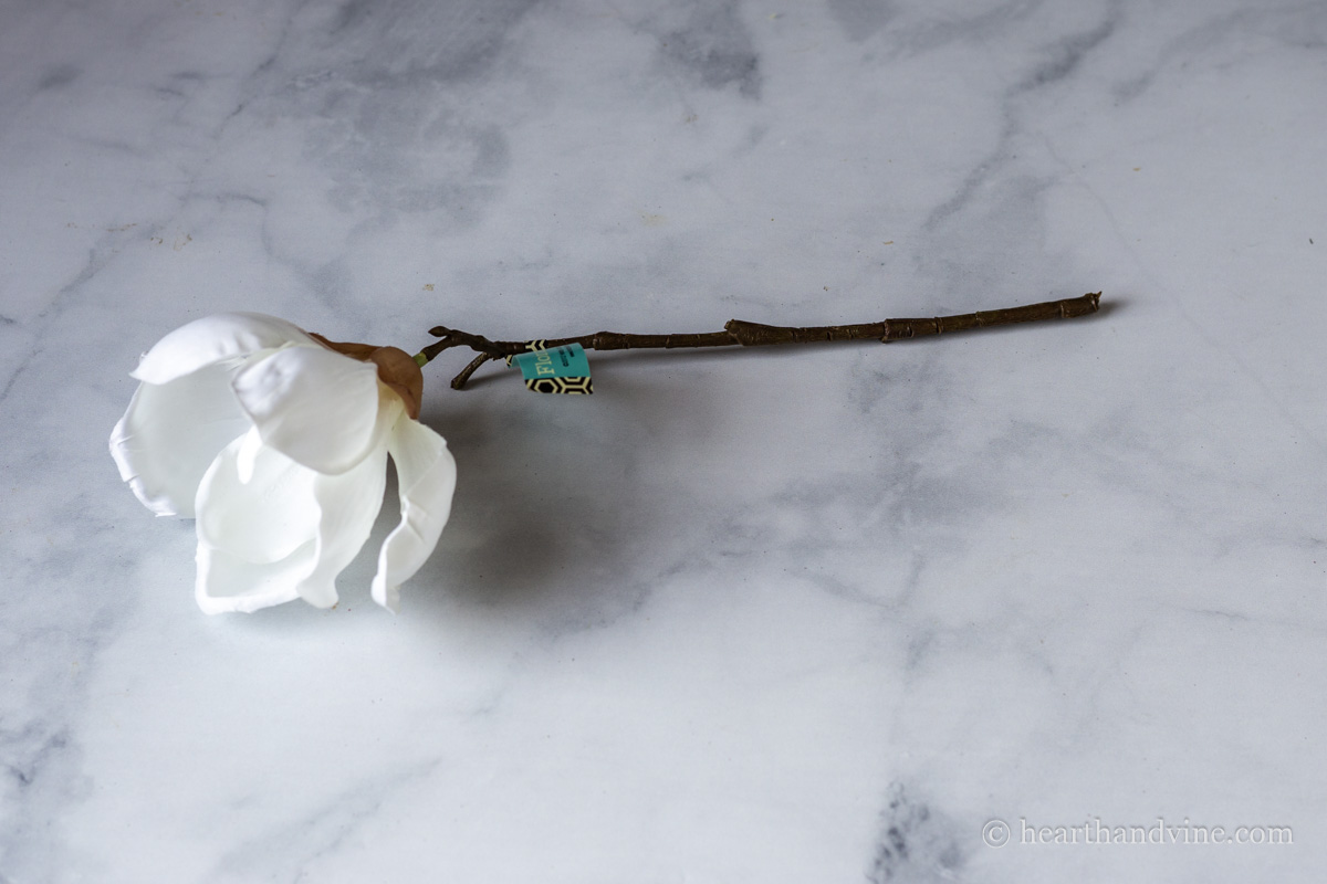 A single stem or pick of a white magnolia flower.