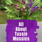 Tussie Mussie in a bud vase.