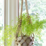 A twine macrame planter in a fishnet pattern holding a white pot with an asparagus fern.