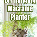 Asparagus fern in a white pot hanging with a fishnet twine hanger.