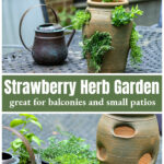 Strawberry pot herb garden over herbs in pots and an empty clay strawberry pot.