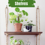 Two wooden hanging shelves with rope sides and plants.
