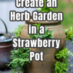 Close up look at a strawberry pot with herbs growing in it.