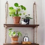 Plants set on thin wooden shelves hanging with rope.