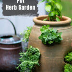 A terra cotta strawberry pot herb garden next to a small copper watering can.