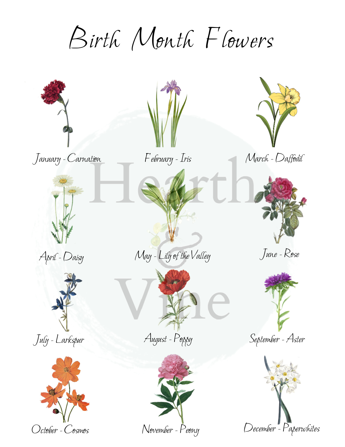 Botanical print of all twelve birth month flowers.