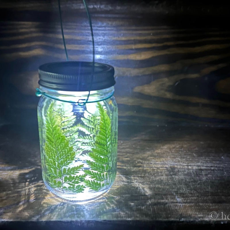 Mason jar fern lined lantern with wire hanger.