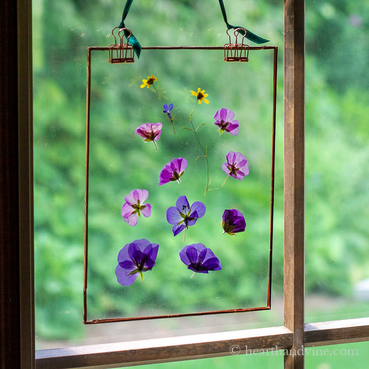 Glass pressed flower suncatcher in a window.