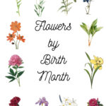 Flower illustrations around the title Flowers by Birth Month.